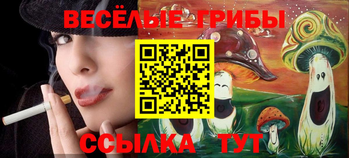 Галлюциногенные грибы MAGIC MUSHROOMS  Вход с VPN  Кропоткин 