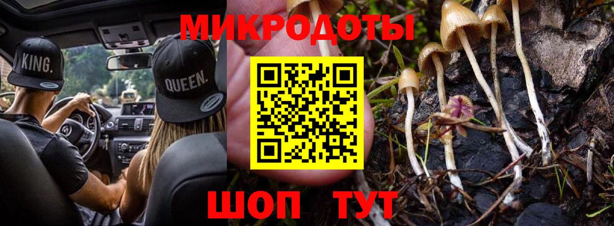 Галлюциногенные грибы Psilocybe Кропоткин